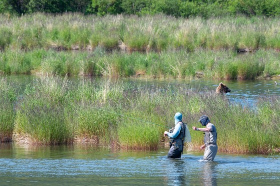 Katmai National Park and Preserve