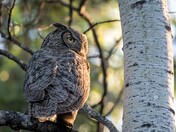 Looking back at the fading night....