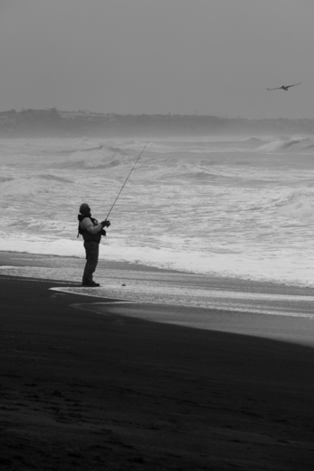 Olympic National Park