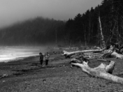 Olympic National Park