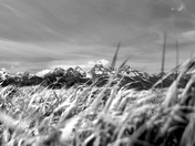 Grand Teton National Park
