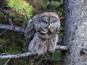 Grand Teton National Park