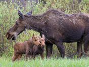 Grand Teton National Park