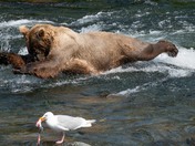 Katmain National Park and Preserve