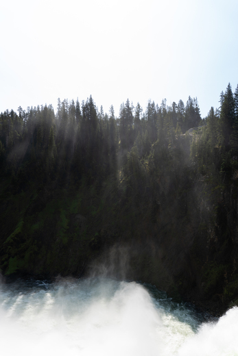 Yellowstone National Park
