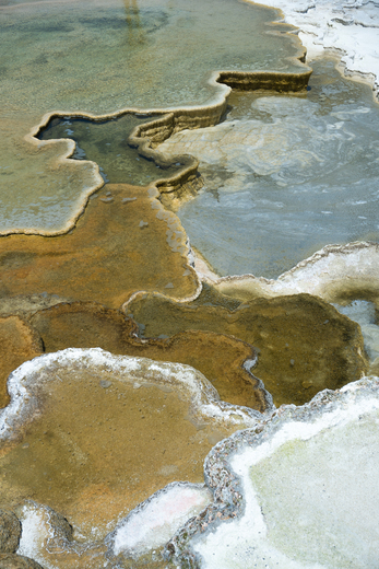 Yellowstone National Park