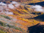 Great Smoky Mountains National Park