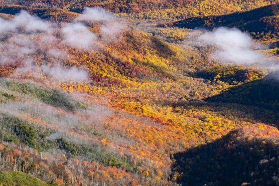 Great Smoky Mountains National Park