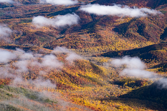 Great Smoky Mountains National Park