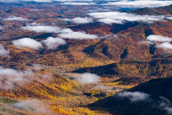 Great Smoky Mountains National Park