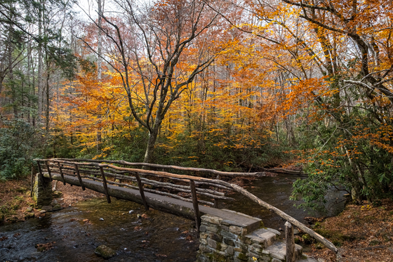 Great Smoky Mountains National Park