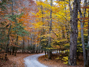Great Smoky Mountains National Park
