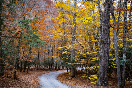 Great Smoky Mountains National Park
