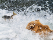 Katmai National Park and Preserve