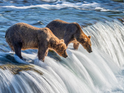 Katmai National Park and Preserve
