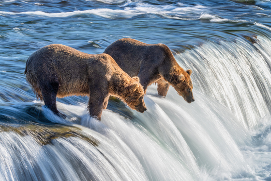 Katmai National Park and Preserve