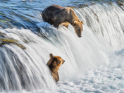 Katmai National Park and Preserve