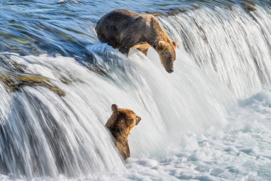 Katmai National Park and Preserve