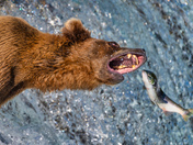 Katmai National Park and Preserve