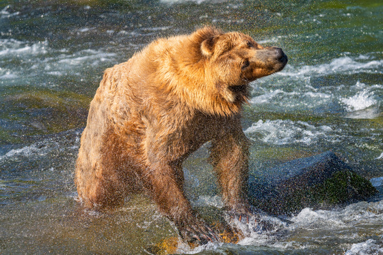 Katmai National Park and Preserve