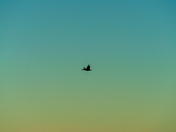 Everglades National Park