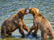 Katmai National Park and Preserve