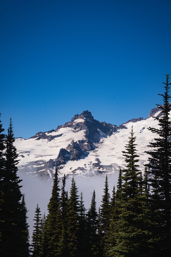 Mount Rainier National Park