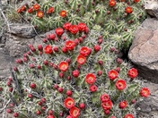 Fort Davis National Historic Site