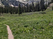 San Juan National Forest