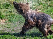 Katmai National Park and Preserve