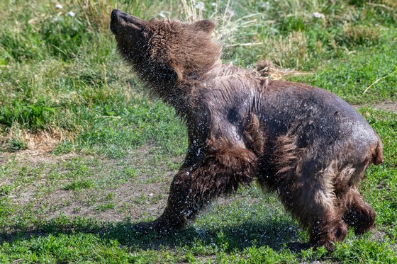 Katmai National Park and Preserve