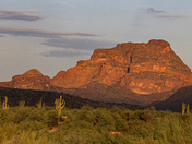 Tonto National Forest