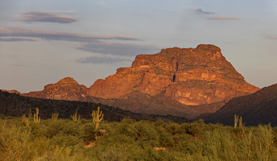 Tonto National Forest