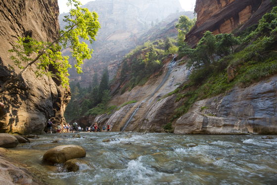 Zion National Park