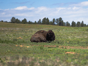 Wind Cave National Park
