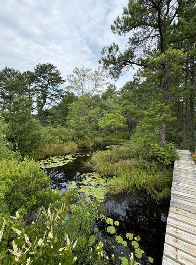 Pineland National Reserve