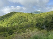 Shenandoah National Park