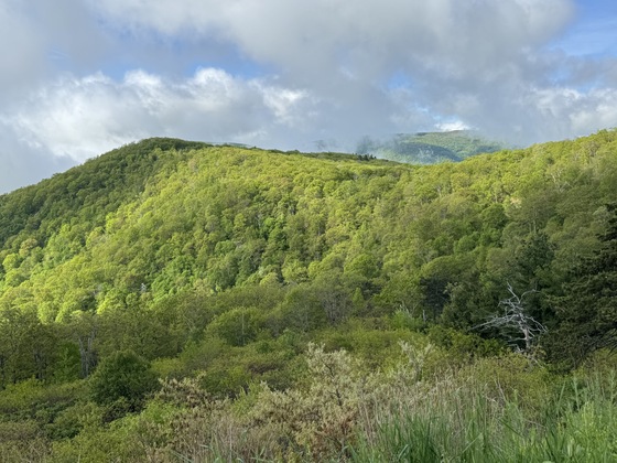 Shenandoah National Park