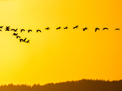 Bear Lake National Wildlife Refuge