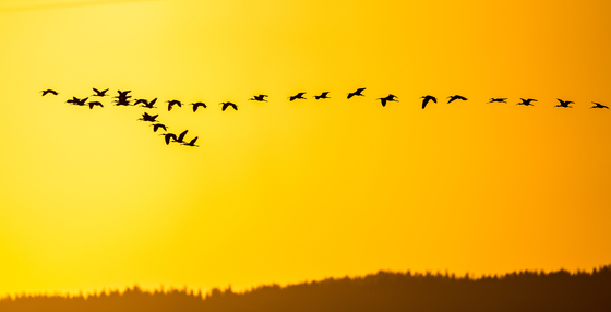 Bear Lake National Wildlife Refuge