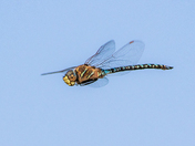 Bear Lake National Wildlife Refuge