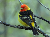 Grand Teton National Park