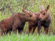 Grand Teton National Park