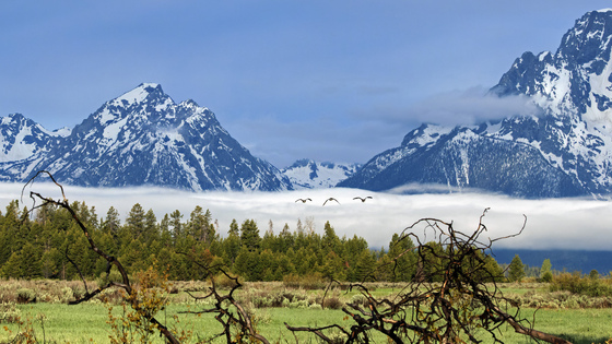 Grand Teton National Park