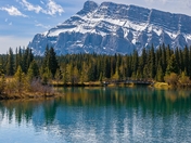 Goose Family Swimming On Cascade Ponds