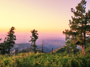 Coronado National Forest