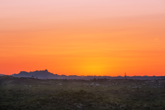 Saguaro National Park East