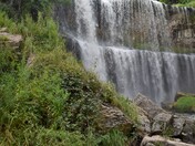 Dog Adobe is posing in front of Webster's waterfall.