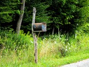 Catt People Live Here