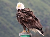 Kenai Fjords National Park 